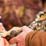 12-2010-leow-j 12-2010-leow-j -