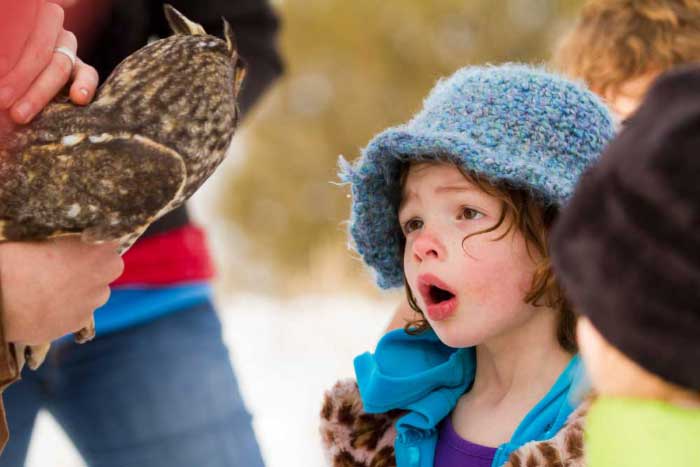 Education and Outreach