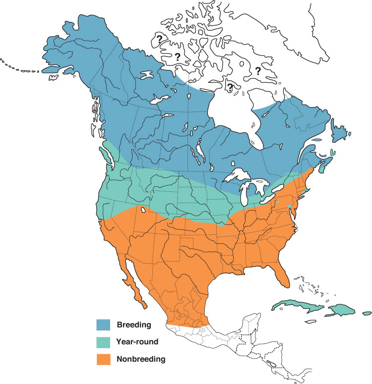 Snowy Owl Range Map Short-Eared Owl Range Map