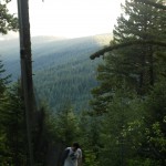 disc-cleansing-1156 - 