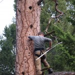 disc-cleansing-1172 - 